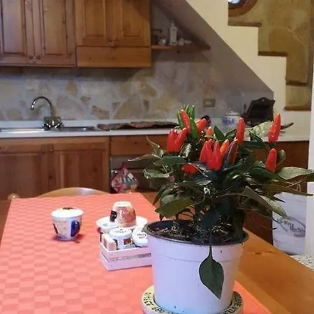 Prázdninový dům Petit Chalet *